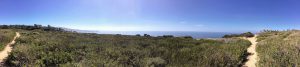 Scripps Coastal Reserve Panoramic