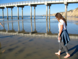 Scripps Pier La Jolla Shores Beach