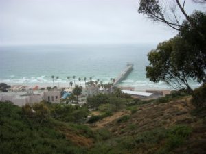 Scripps Pier above bluff view