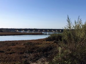 Los Penasquitos Lagoon train tracks