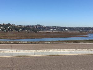 Los Penasquitos Lagoon