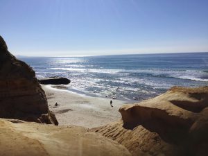 Torrey Pines State Beach Flat Rock