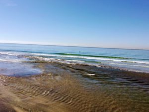 Los Penasquitos Beach Inlet on beach ripples