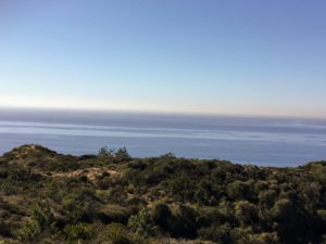 Ocean View Torrey Pines State Natural Reserve