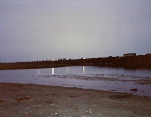 Los Penasquitos Lagoon 1993
