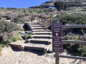 South Parking Dirt Stairs up to reserve