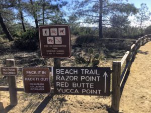 Southern Reserve Trails Torrey Pines State Natural Reserve
