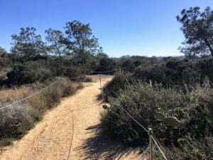 Southern Trail Torrey Pines State Natural Reserve