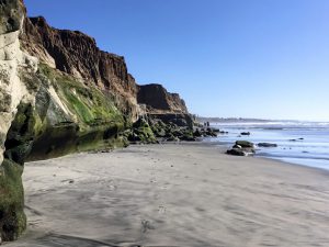 Terramar Beach San Diego Beaches