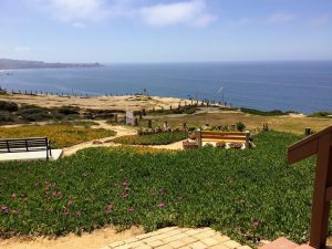 Cliffhanger Cafe view ice plant trails ocean