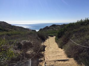 Torrey Pines State Natural Reserve Beach Trail