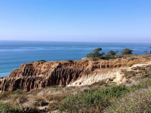 Torrey Pines State Reserve Cliffs Trees