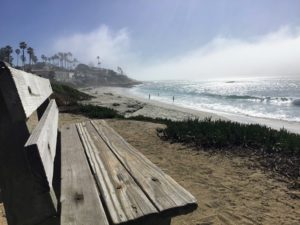 Bench View south onto beach