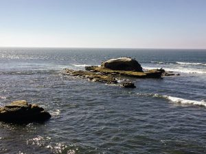 Bird Rock La Jolla