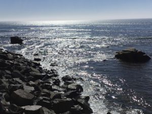 Bird Rock south view best beaches of La Jolla