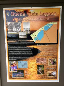 Buena Vista Lagoon Ecological Reserve Poster