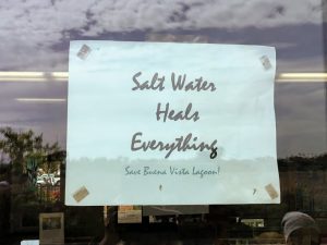 Salt water heals everything poster Buena Vista Lagoon