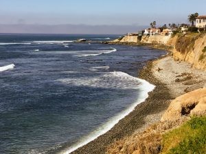 Calumet Park Beach bluffs waves ocean surfer