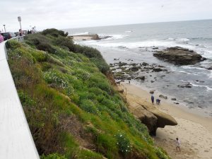 Children's Pool La Jolla