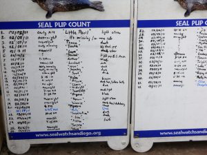 Children's Pool Seal Pup Count Chart