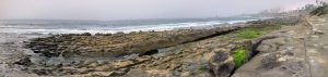 Hospital Beach Best Beaches of La Jolla