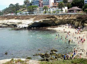 La Jolla Cove Best beaches of La Jolla