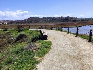 San Elijo Lagoon Nature Center Trail