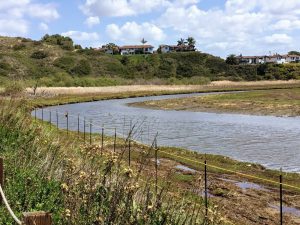 Inner San Elijo Lagoon Nature Center Trail