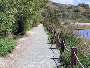 San Elijo Lagoon Nature Center Trail