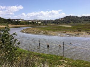 San Elijo Lagoon