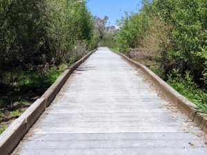 middle of Inner San Elijo Lagoon Nature Center Trail