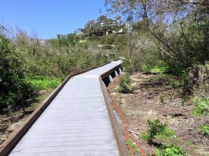 Inner San Elijo Lagoon Nature Center Trail