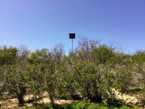 Owl Box San Elijo Lagoon Nature Center