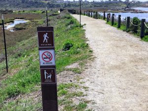 San Elijo Lagoon Nature Center Trail