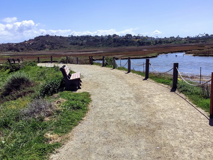 San Elijo Lagoon San Diego Lagoons