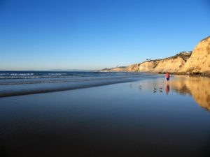 Scripps Coastal Reserve Man walking shore