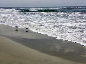 Sandpipers Saint Malo Beach