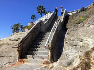 Stairway going up bluffs palm tree two men