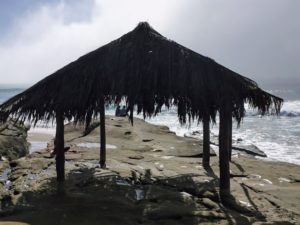 Surf Shack best beaches of La Jolla