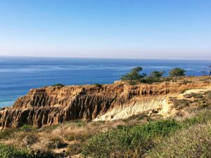 Torrey Pines of Bluff ocean background