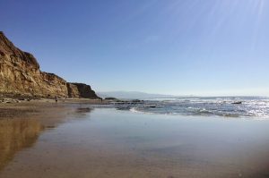 Flat Rock Beach Beach Beaches of La Jolla