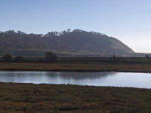 Los Penasquitos Lagoon Torrey Pines State Natural Reserve