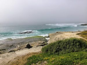 Windansea Sandstone Beach best beaches of La Jolla