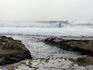 Whispering Sands Beach Tidal shelf surfer in wave