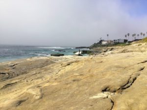 Windansea shoreline best beaches of La Jolla