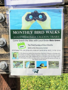 Poster for Monthly Bird Walks