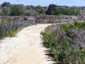 End of Agua Hedionda Lagoon Discovery Center Trail