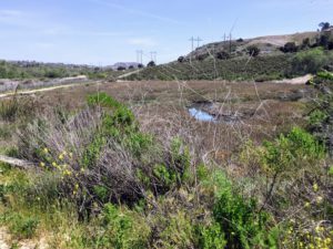 East of the Agua Hedionda Lagoon Discovery Center