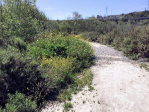 Agua Hedionda Lagoon Discovery Center Trail