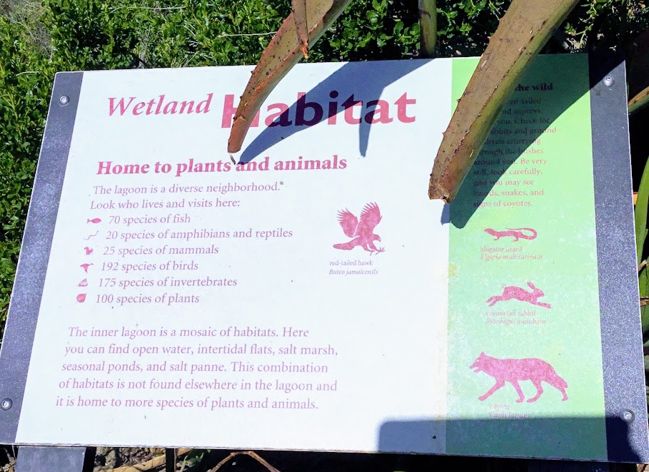 Wetland Habitat Sign Agua Hedionda Lagoon Discovery Center